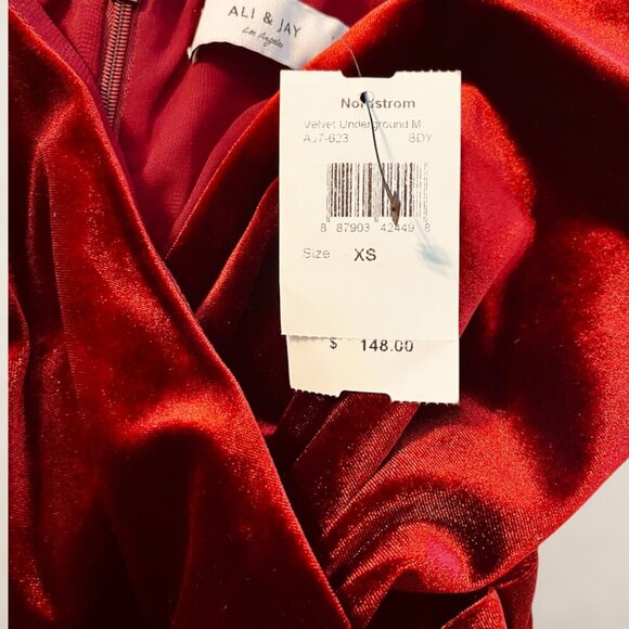 Ali & Jay Red Velvet Dress (NEW) - Picture 5 of 5